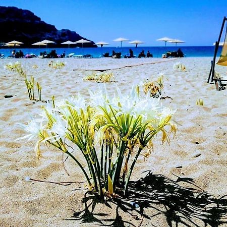 Annamaria Sea Side View Studio- 25M From The Beac Plakias Buitenkant foto