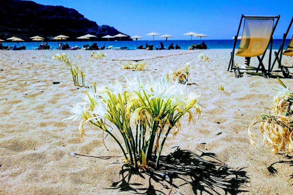 Annamaria Sea Side View Studio- 25M From The Beac Plakias Buitenkant foto