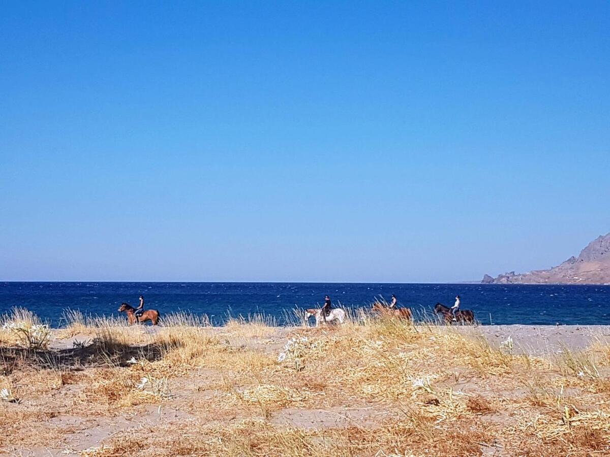 Annamaria Sea Side View Studio- 25M From The Beac Plakias Buitenkant foto